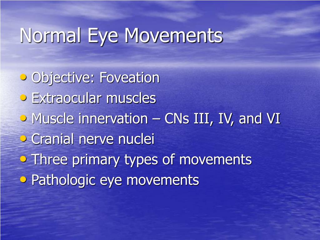 PPT - Eye Movements PowerPoint Presentation, free download - ID:3299380