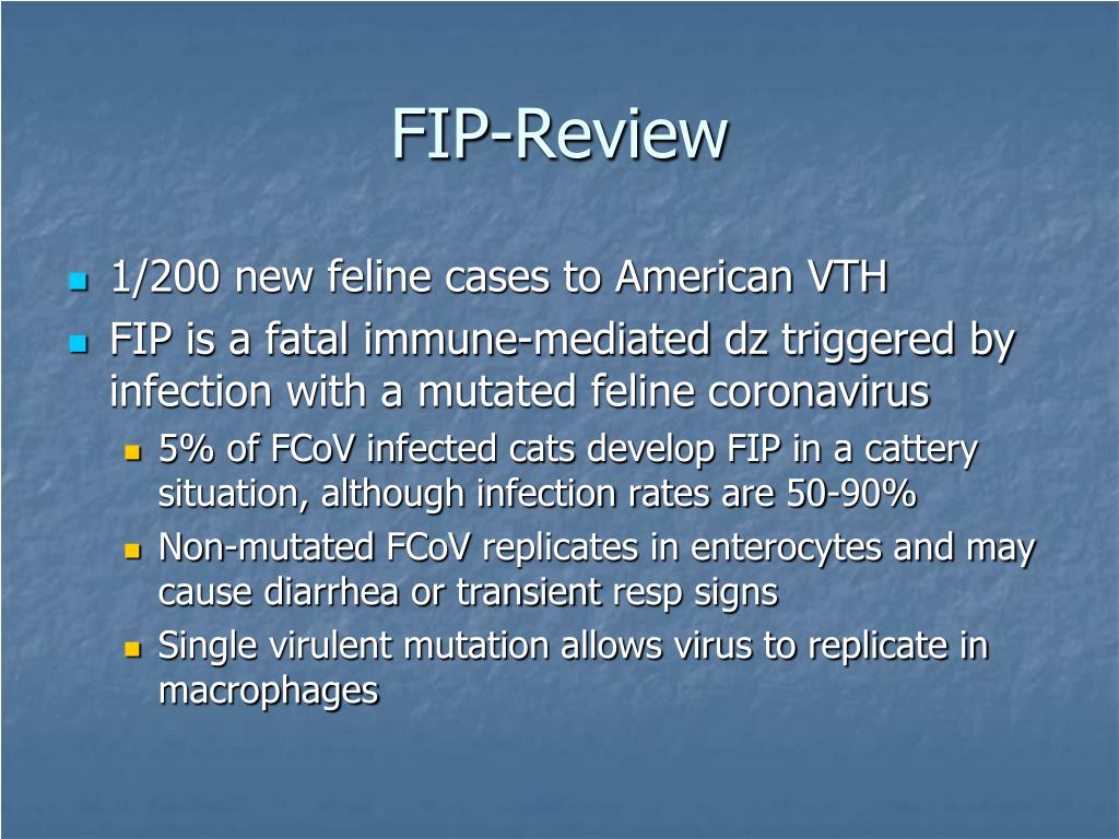PPT Feline Infectious Peritonitis FIP PowerPoint Presentation, free