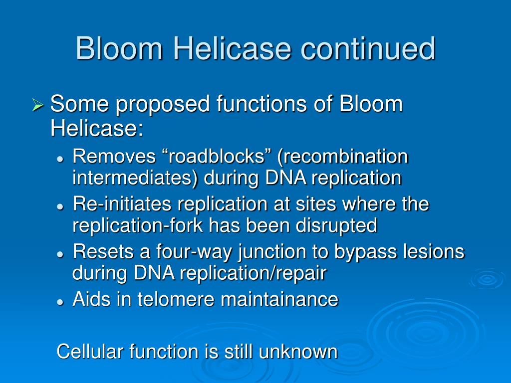 bloom syndrome bloom syndrome