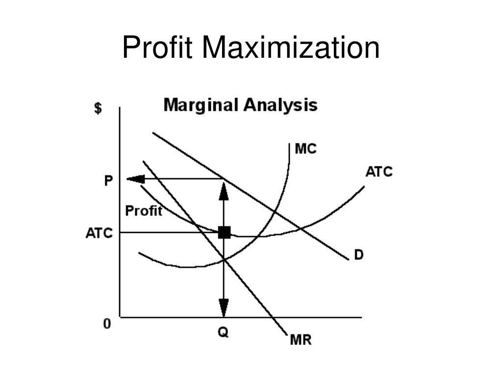 profit maximization matlab torrent