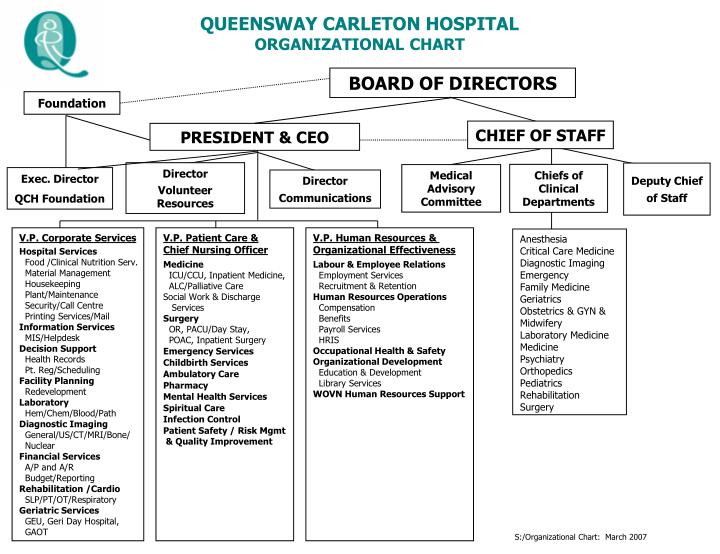 Clinical Pharmacy Department Organizational Chart