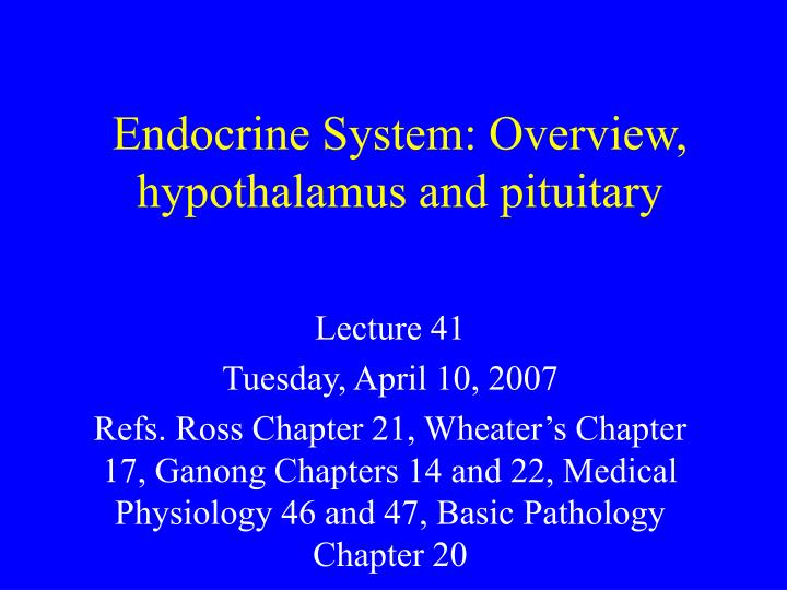 endocrine system overview hypothalamus and pituitary n.