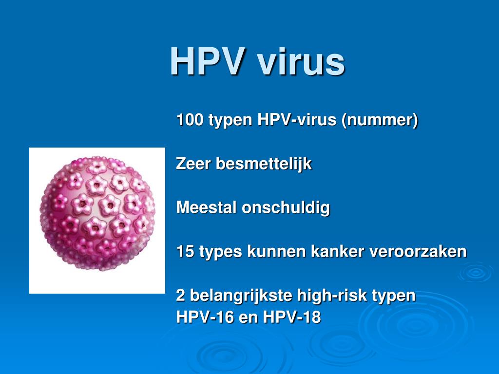 PPT - HPV Vaccinatie Feiten en Fabels PowerPoint Presentation, free