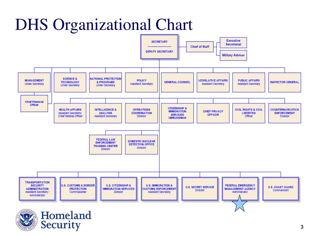 Dhs Org Chart