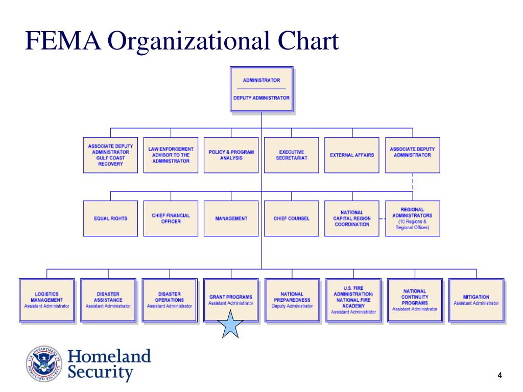 Fema Organizational Chart