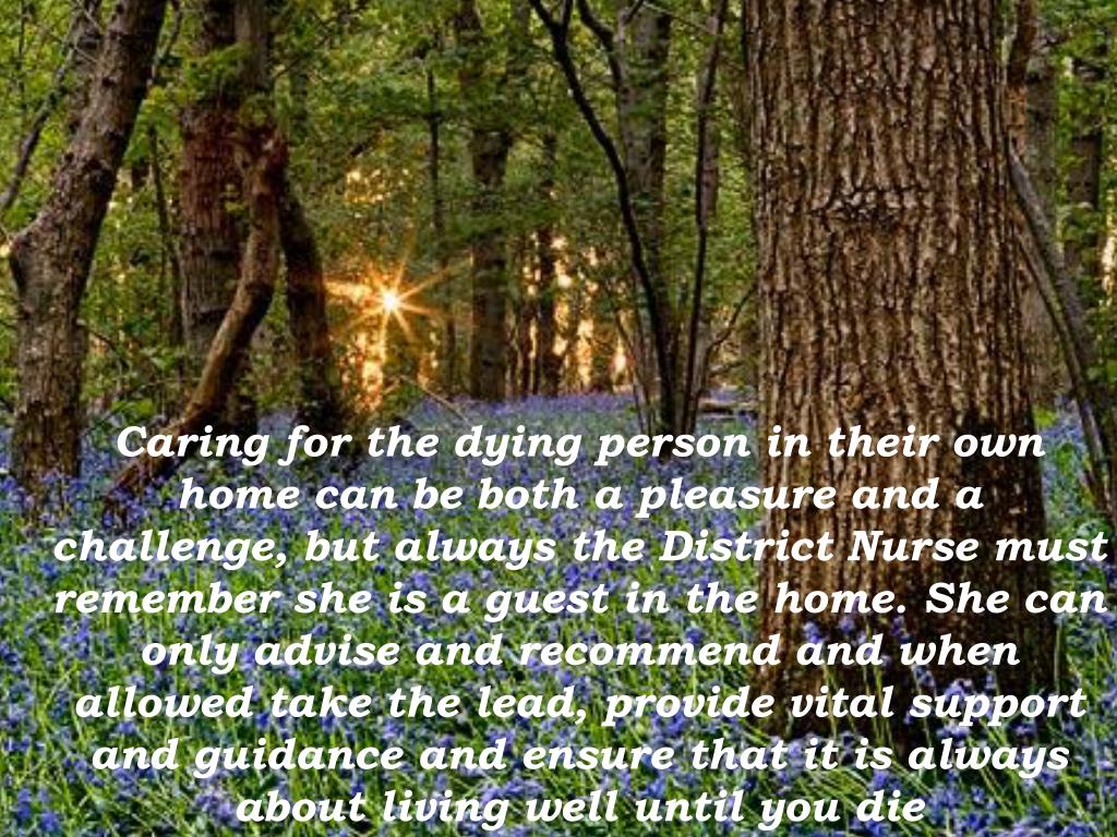 PPT - The Role of the District Nurse in End of Life Care PowerPoint ...