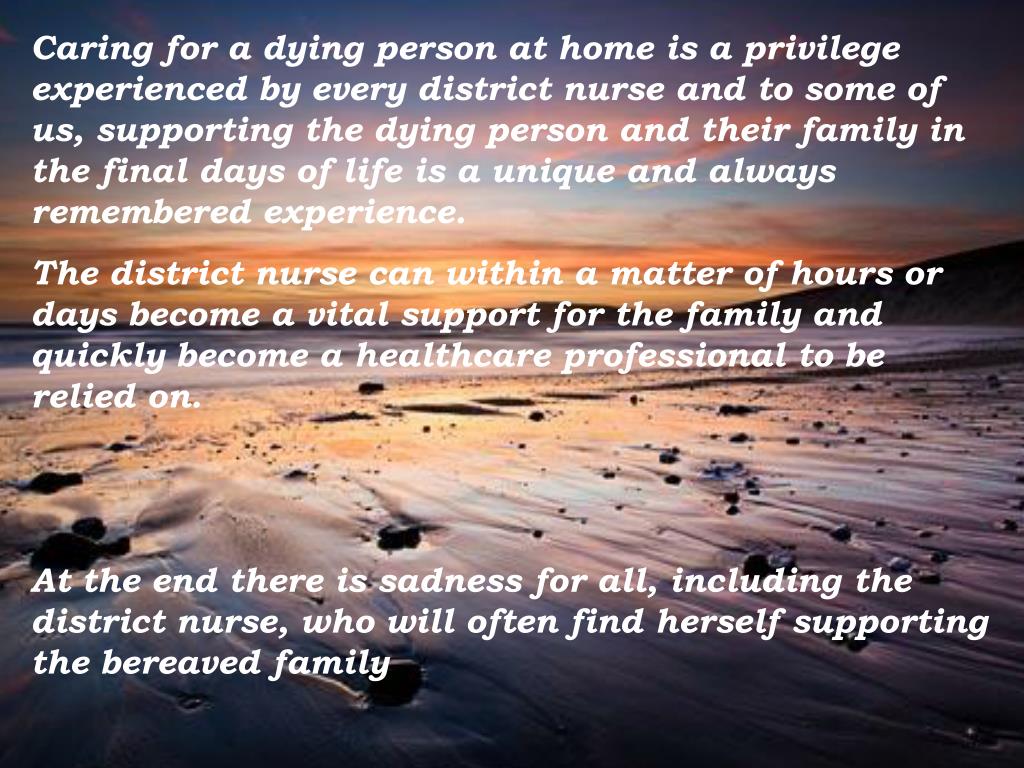 PPT - The Role of the District Nurse in End of Life Care PowerPoint ...