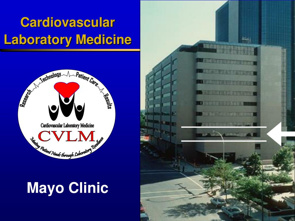 PPT Joseph P. McConnell PhD, DABCC The Mayo Clinic and Foundation Health Diagnostic Laboratory