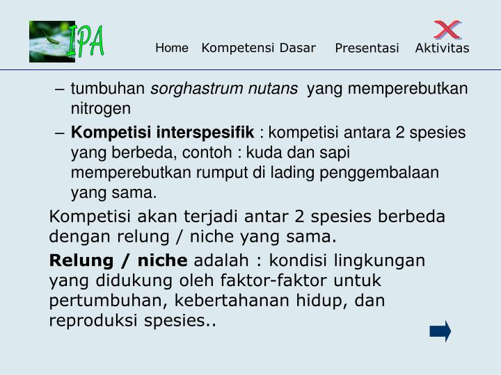 Contoh Ekosistem Relung - Mi Putri