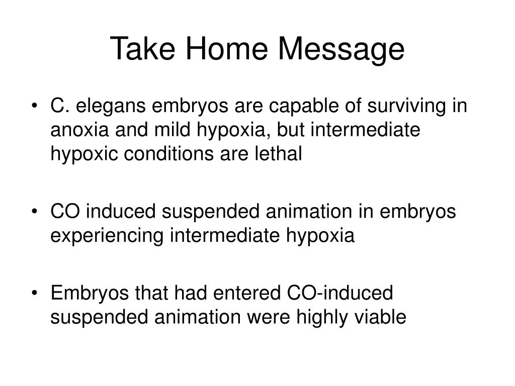 Ppt Suspended Animation Of C Elegans Embryos Using Carbon Monoxide Powerpoint Presentation Id