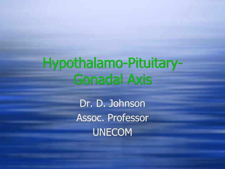 hypothalamo pituitary gonadal axis n.
