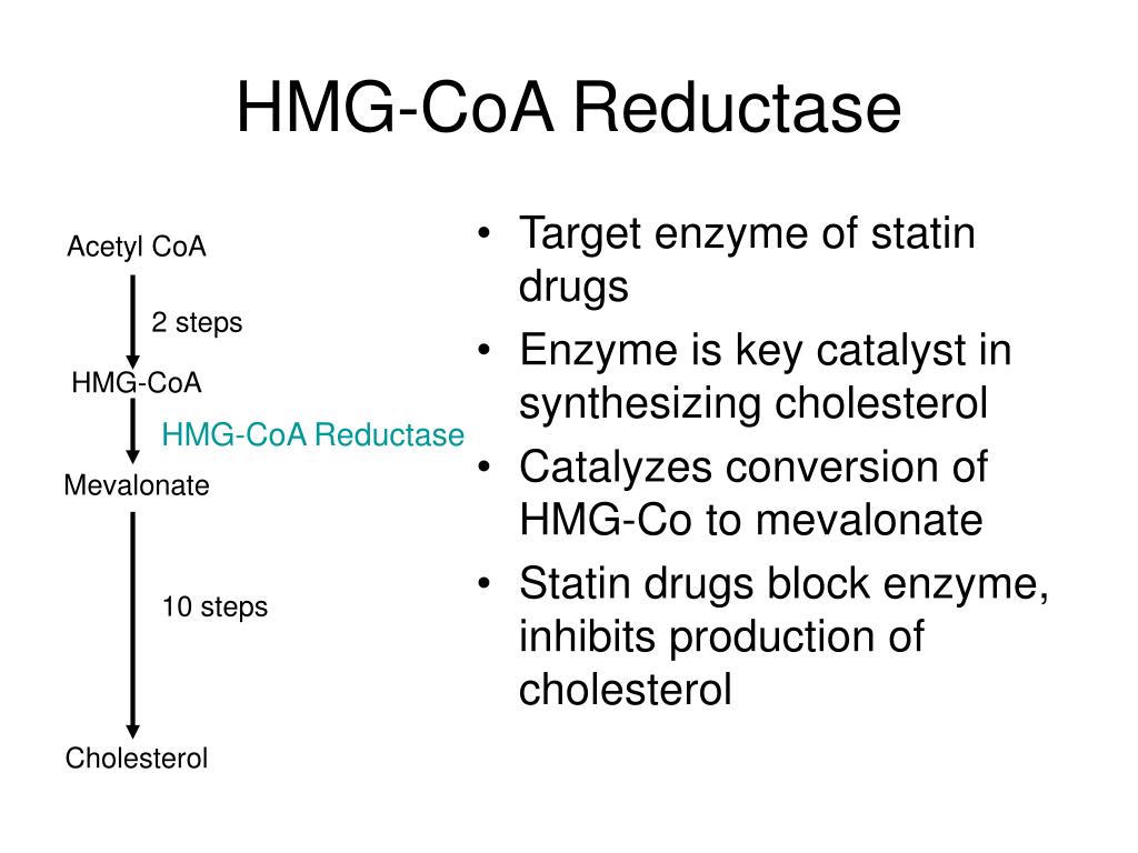 ppt-a-new-statin-drug-insights-from-my-career-in-pharmaceutical
