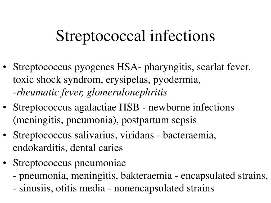 PPT - Practical no.2 - winter term- Streptococcal infections PowerPoint ...