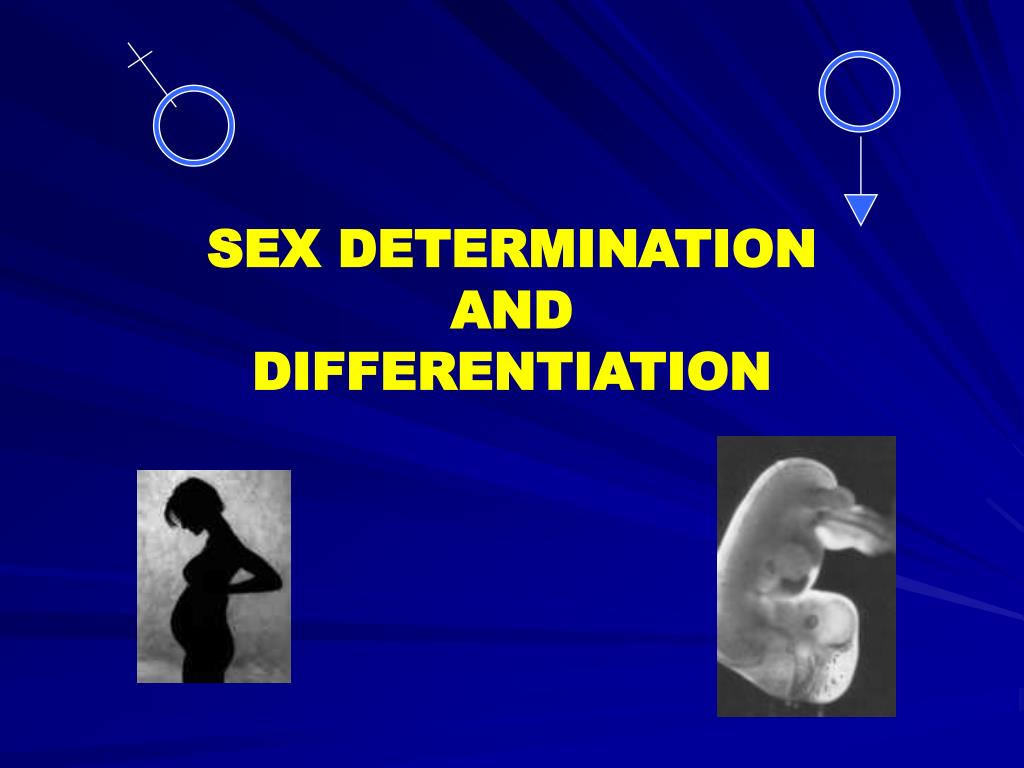 Ppt Sex Determination And Differentiation Powerpoint Presentation