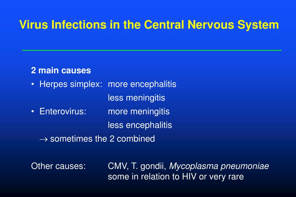 PPT - Virus Infections in the Central Nervous System PowerPoint