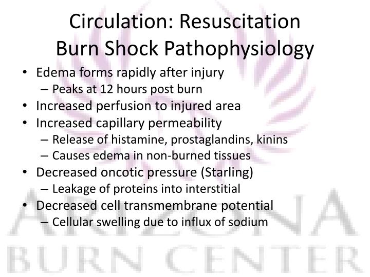 PPT Burns in the Emergency Department PowerPoint Presentation ID