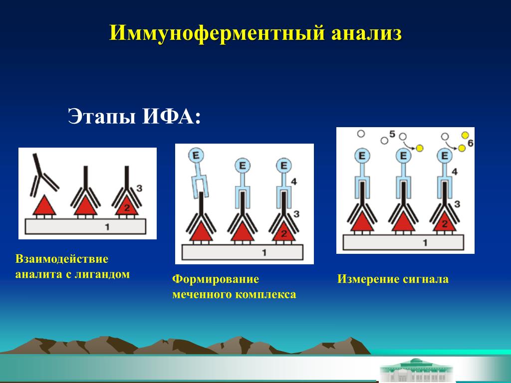 Иммуносенсорные методы презентация