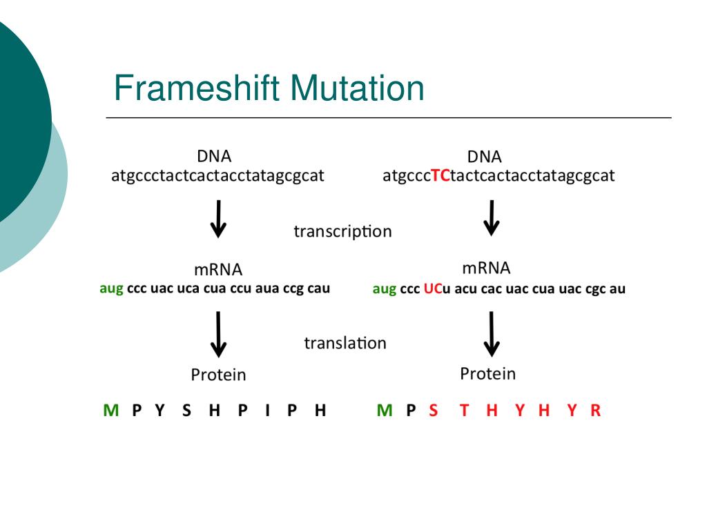 PPT Synthetic Biology PowerPoint Presentation, free download ID3316591