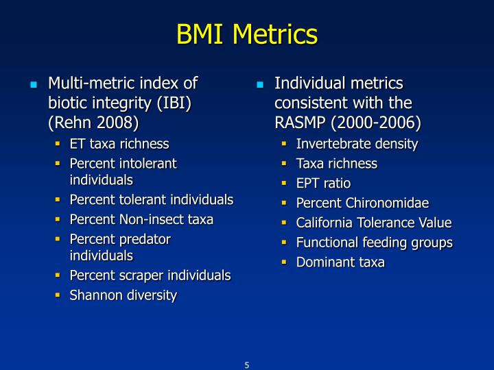 bmi metrics