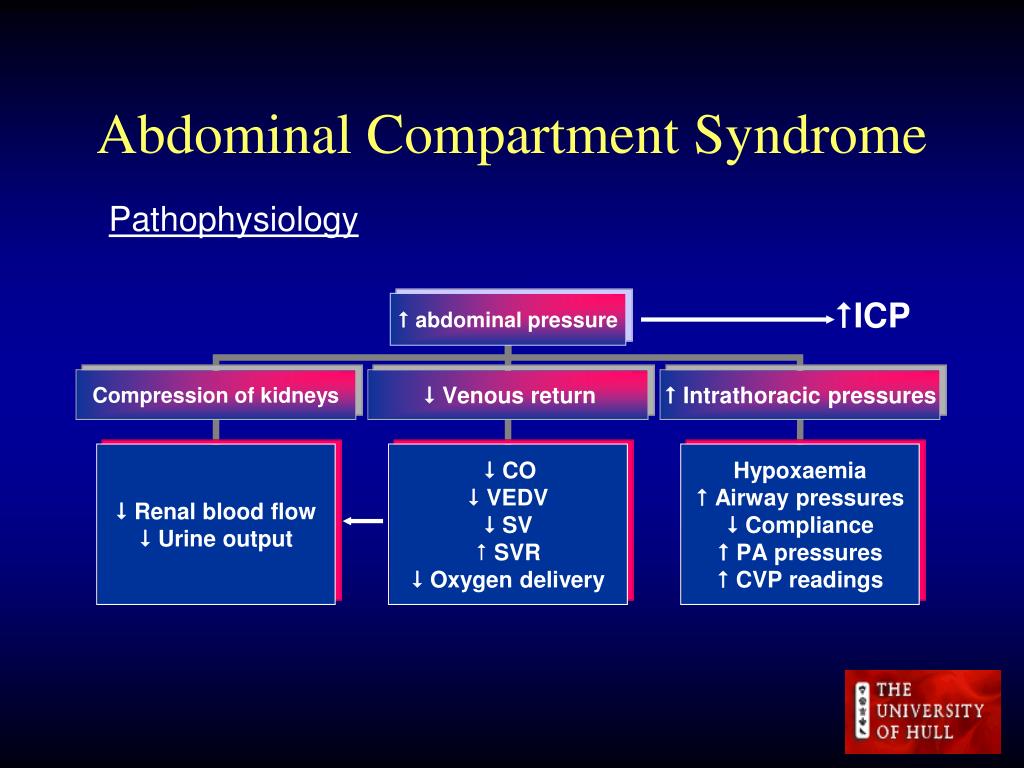 PPT Abdominal Compartment Syndrome PowerPoint Presentation Free ppt-abdominal-compartment-syndrome-powerpoint-presentation-free