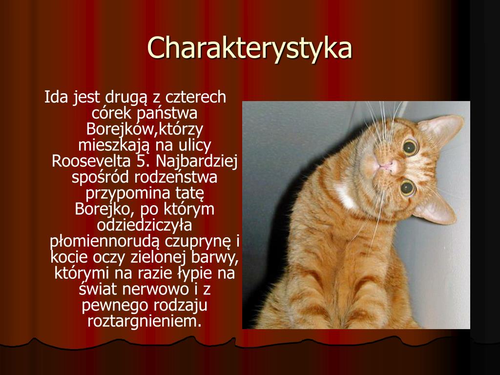 Charakterystyka Profesora Dmuchawca Kwiat Kalafiora PPT - Kwiat Kalafiora PowerPoint Presentation, free download - ID:3317601