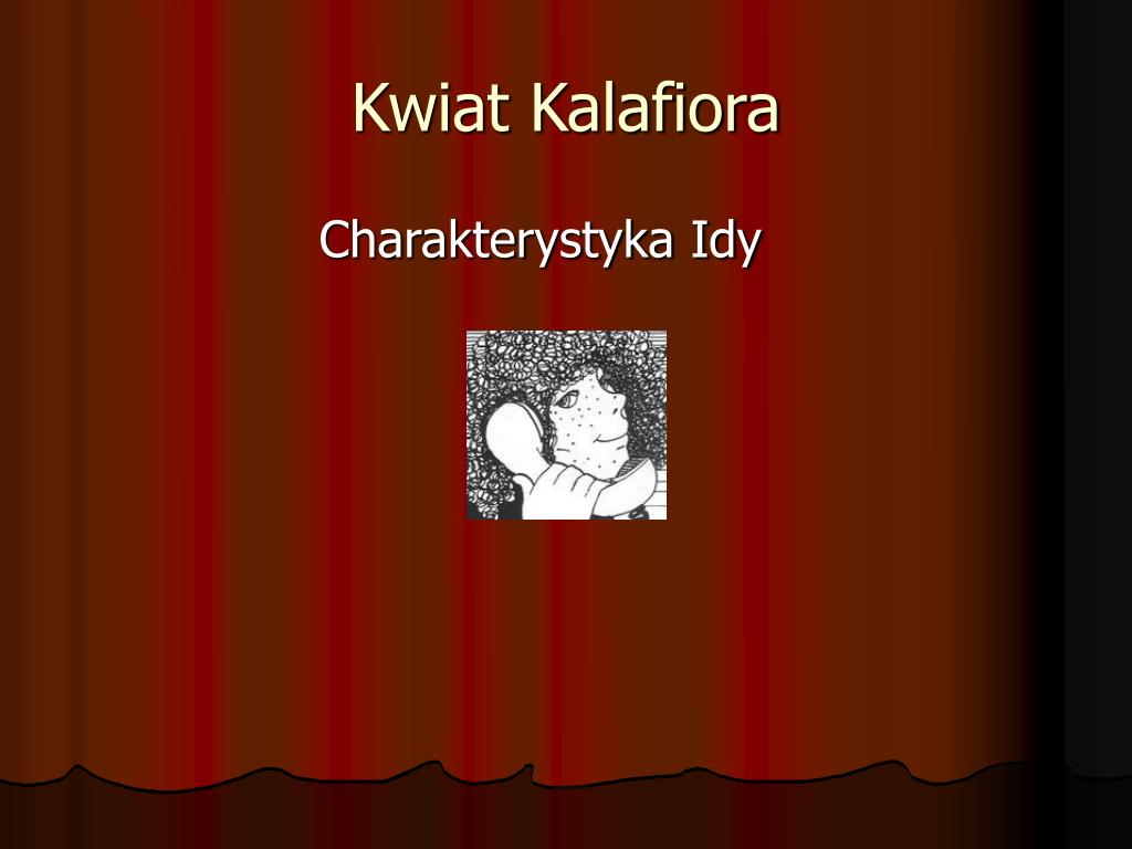 Charakterystyka Profesora Dmuchawca Kwiat Kalafiora