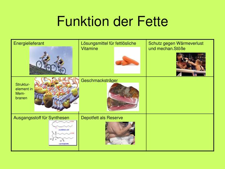 5 Funktionen Von Fetten Im Körper