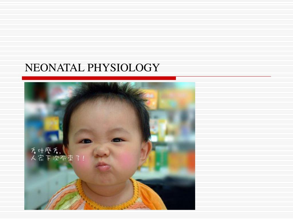 Fetal and Neonatal Physiology PowerPoint Presentation, free ... Biology Diagrams