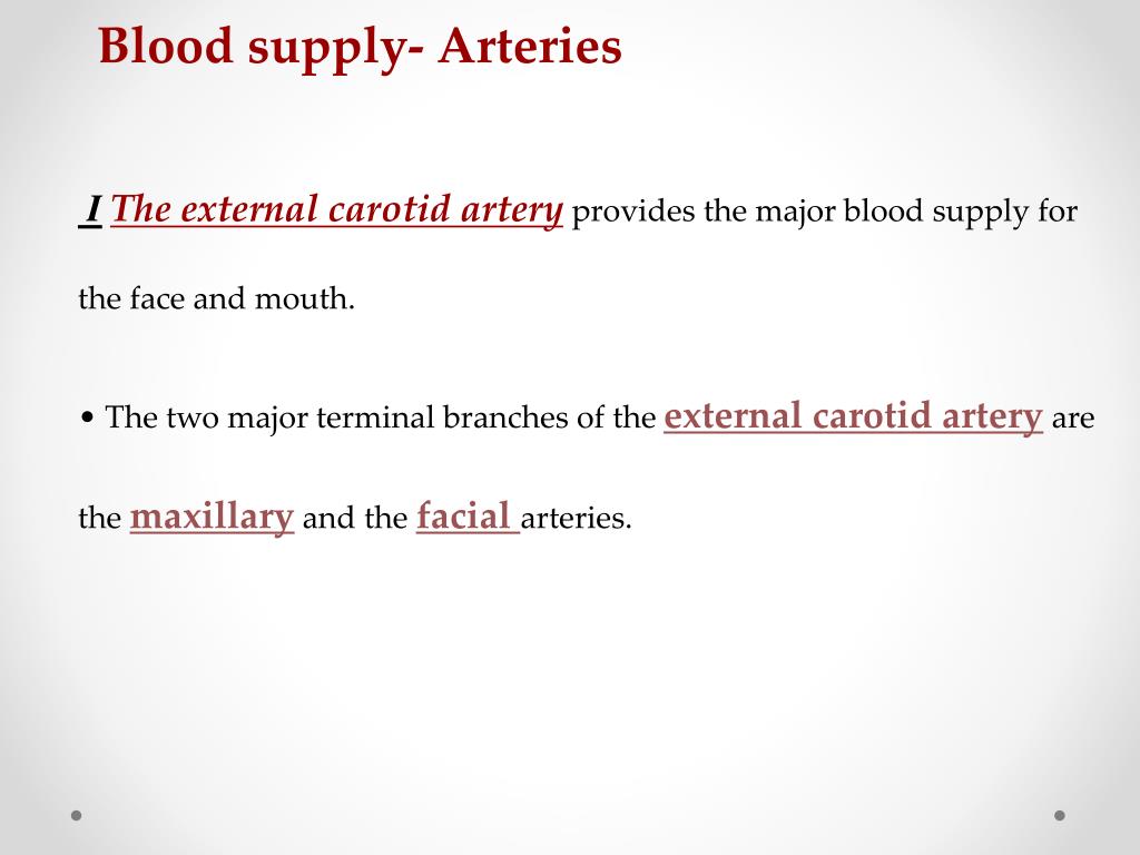 PPT - Meninges, CSF and Blood Supply of the Head and Neck PowerPoint ...