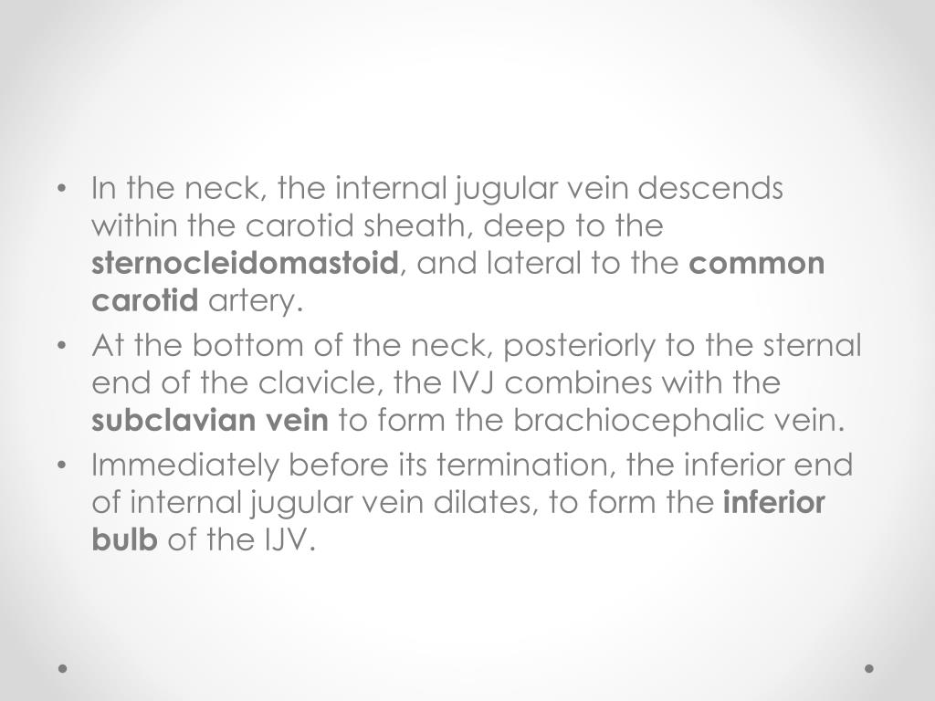 PPT - Meninges, CSF and Blood Supply of the Head and Neck PowerPoint ...