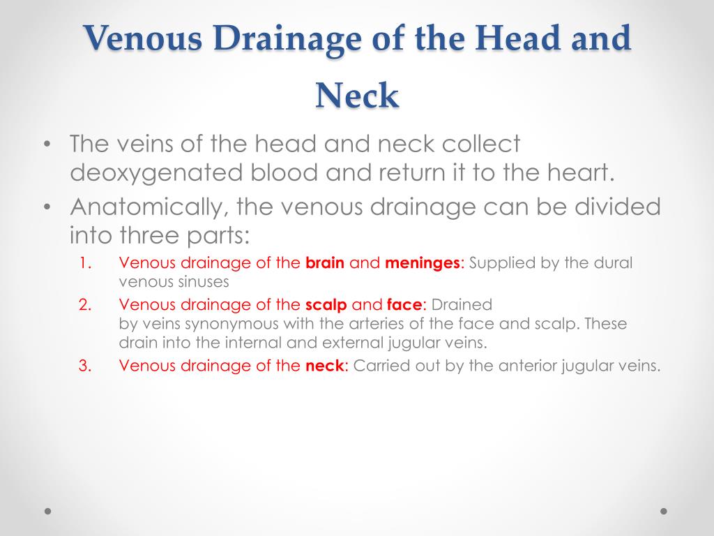 Ppt Meninges Csf And Blood Supply Of The Head And Neck