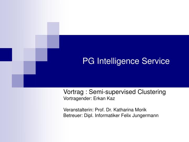 pg intelligence service n.