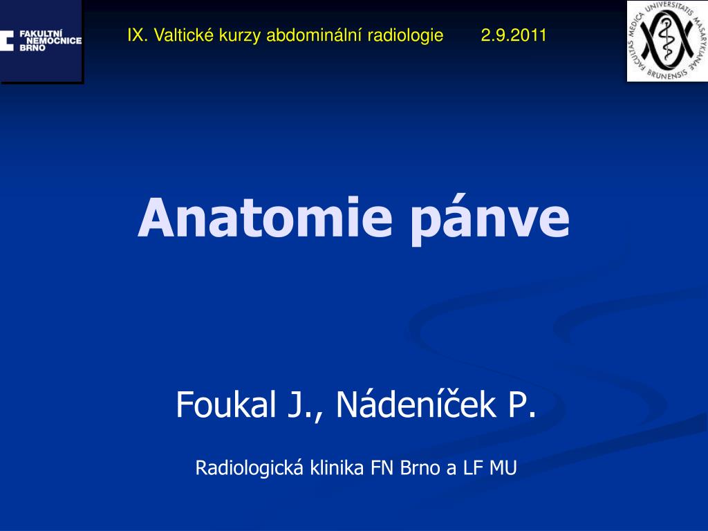 PPT - Anatomie pánve PowerPoint Presentation, free download - ID:3330062