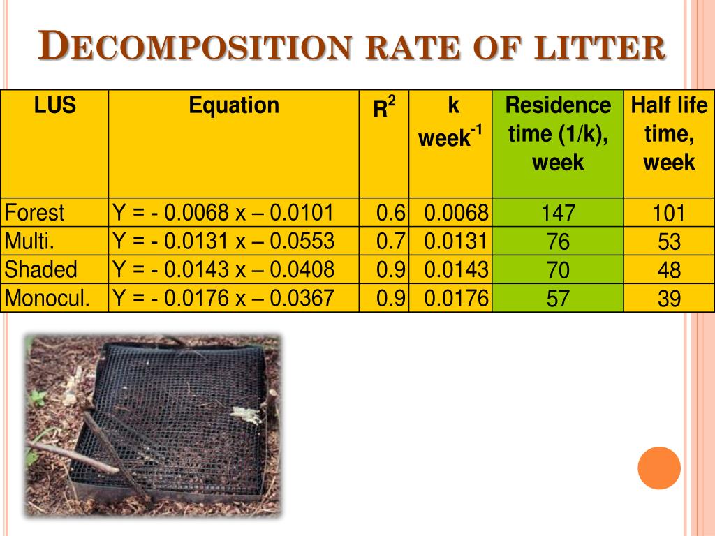 PPT - Conversion of forest to coffee-based Agroforestry in Indonesia ...