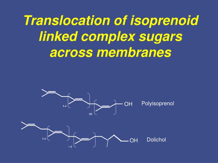 translocation of isoprenoid linked complex sugars across membranes n.