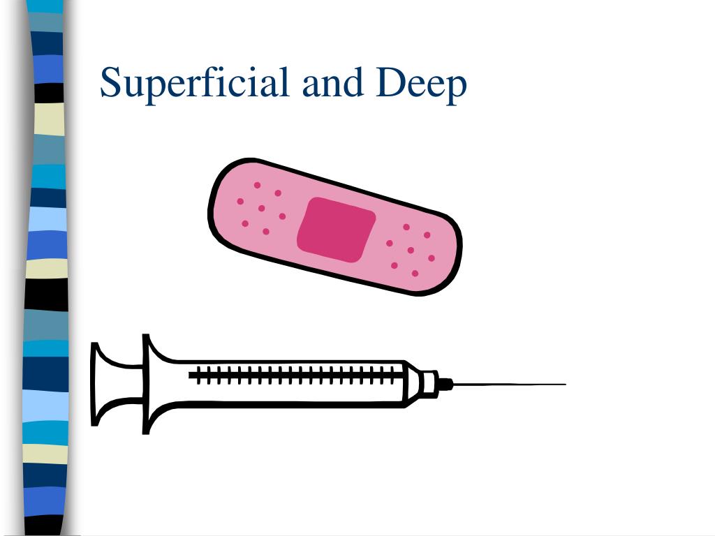 Body Structure PowerPoint Presentation, free download Biology Diagrams