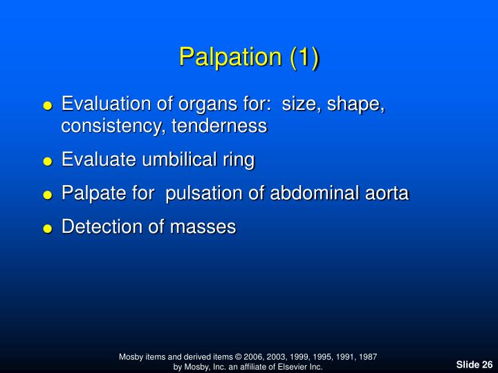 PPT - Describing the Abdomen PowerPoint Presentation - ID:3332899
