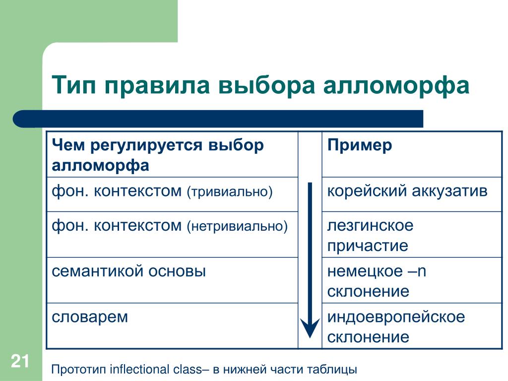 Типы правил. Алломорф примеры. Что такое алломорф в русском языке. Виды алломорфов. Алломорф примеры в русском языке.