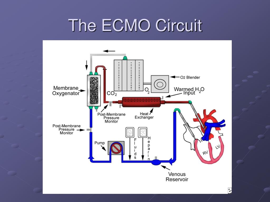 PPT - Medications in the PICU: The ECMO Effect PowerPoint Presentation