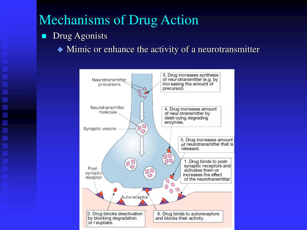 PPT - Mechanisms of Drug Action PowerPoint Presentation - ID:3336499