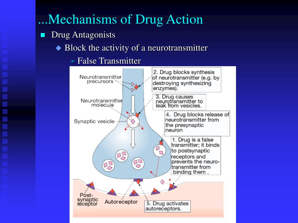 Mechanism of action. Mechanism of Action of drugs. Anti-inflammatory drugs mechanism of Action. Ephedrine mechanism of Action.