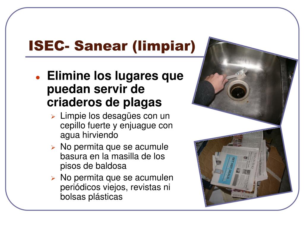 PPT - ISEC Manejo de plagas en el hogar PowerPoint Presentation, free  download - ID:3336800