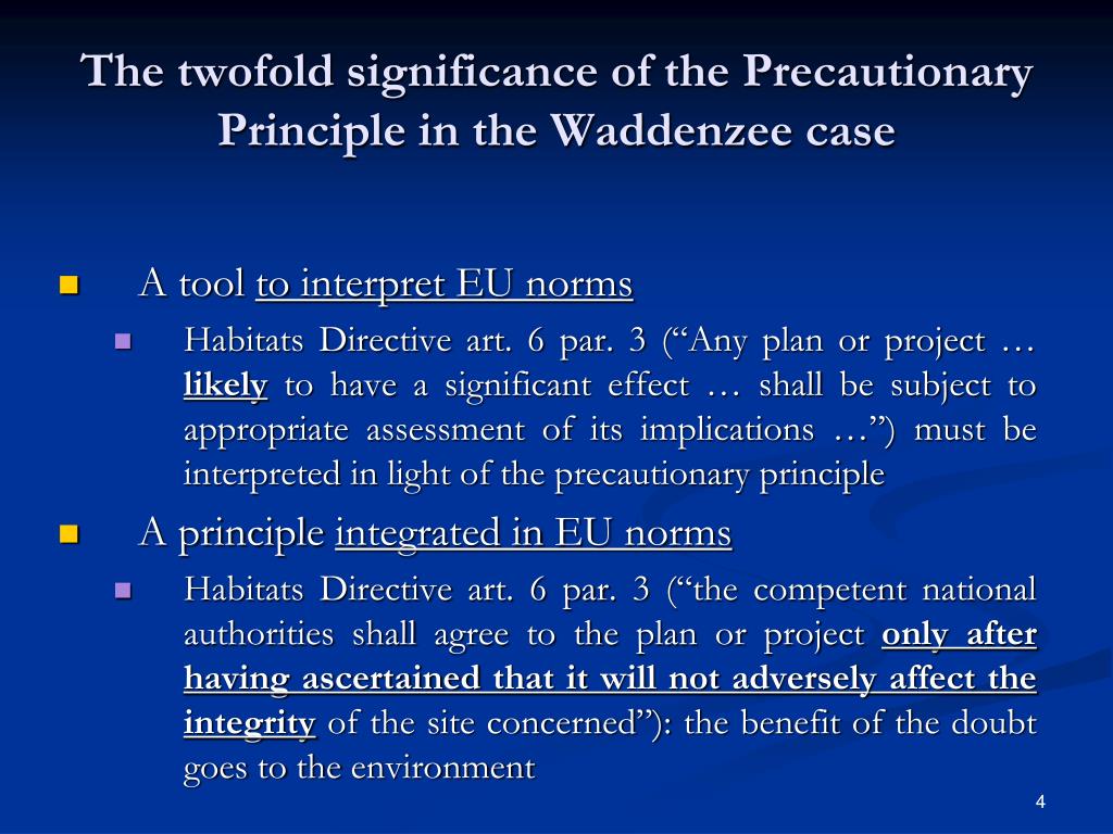 precautionary principle environmental