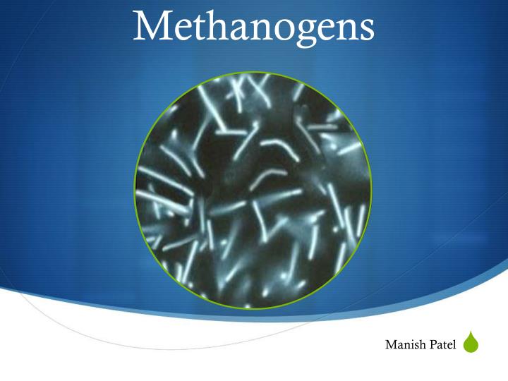 PPT - Methanogens PowerPoint Presentation, free download - ID:3339208
