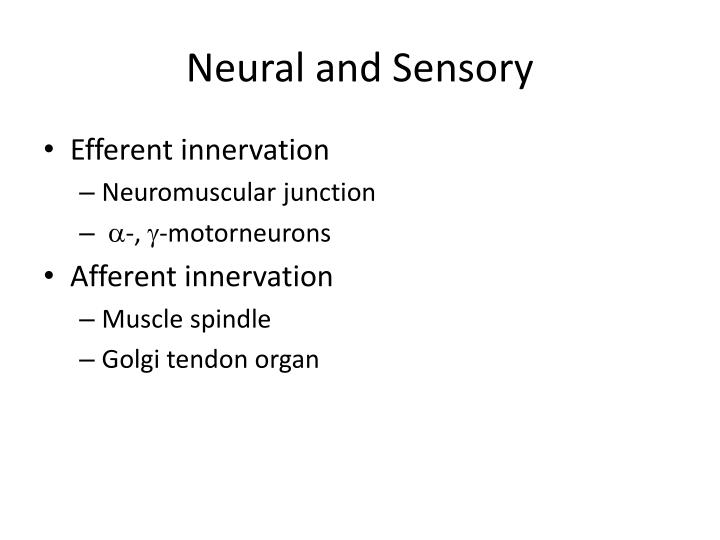 PPT - Neural and Sensory PowerPoint Presentation, free download - ID ...