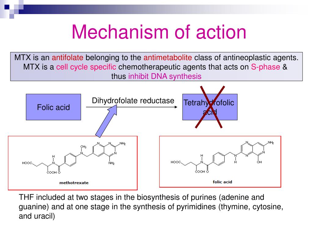 Mechanism of action. Метотрексат механизм действия при псориазе. Methotrexate mechanism of Action. Метотрексат механизм действия. Метотрексат механизм действия фармакология.