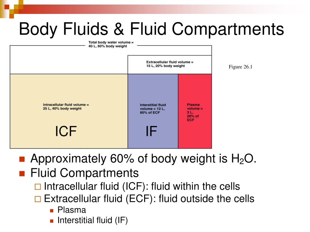 figure 5.1c body fluid compartments figure 5.1c body fluid compartments