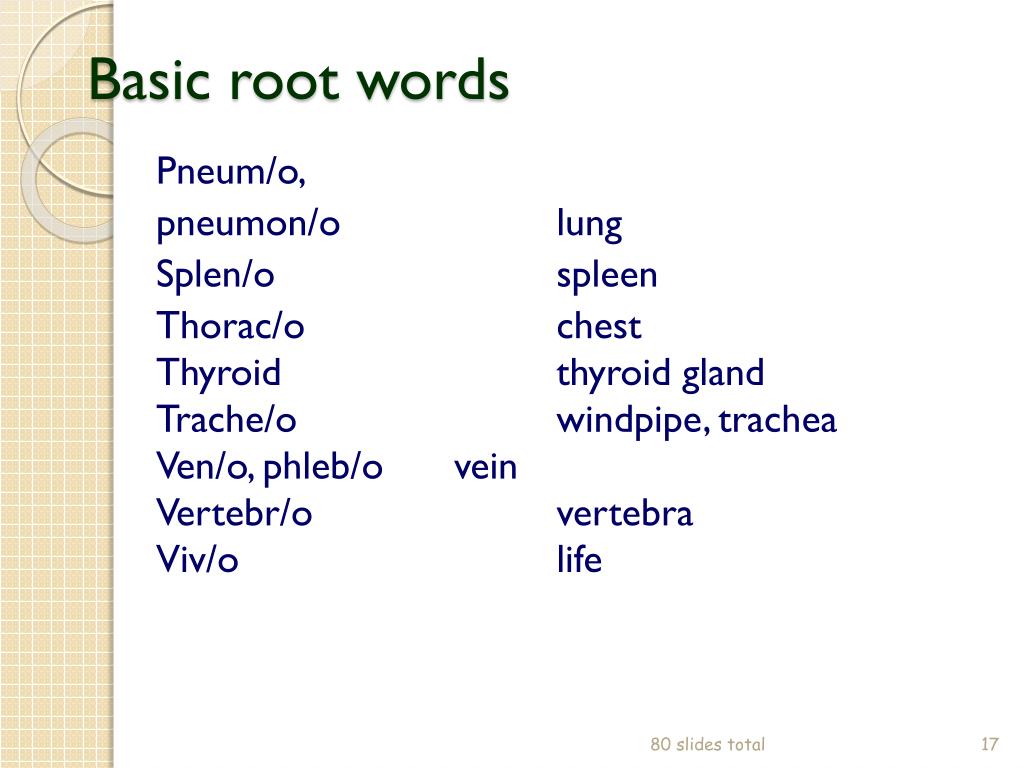 PPT - MEDICAL TERMINOLOGY PowerPoint Presentation, free download -  ID:3341098