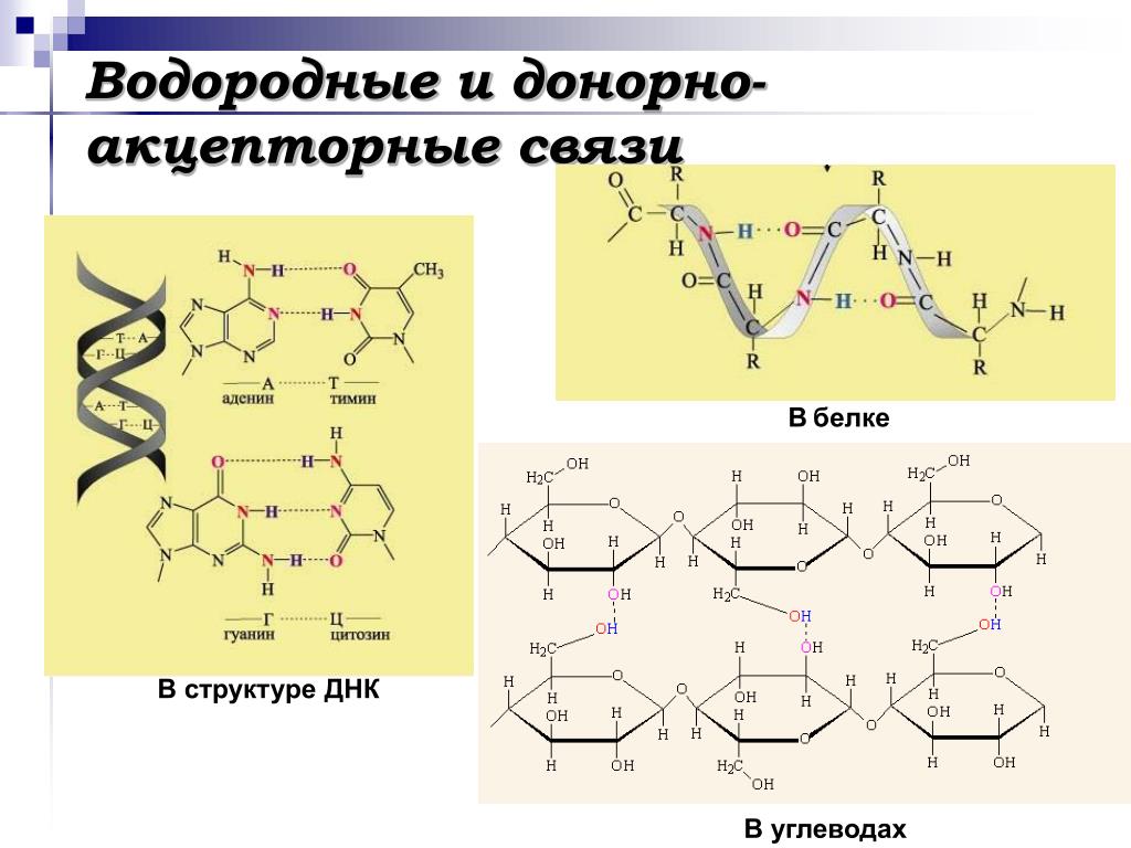 Водородные силы