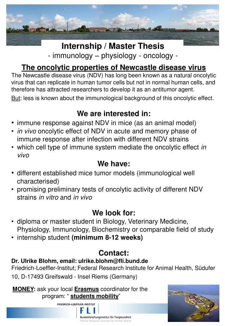 master thesis immunology